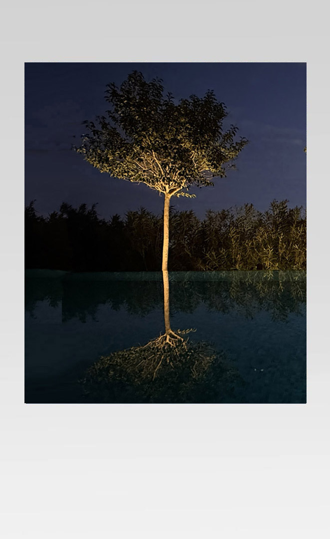 Sculture di Luce